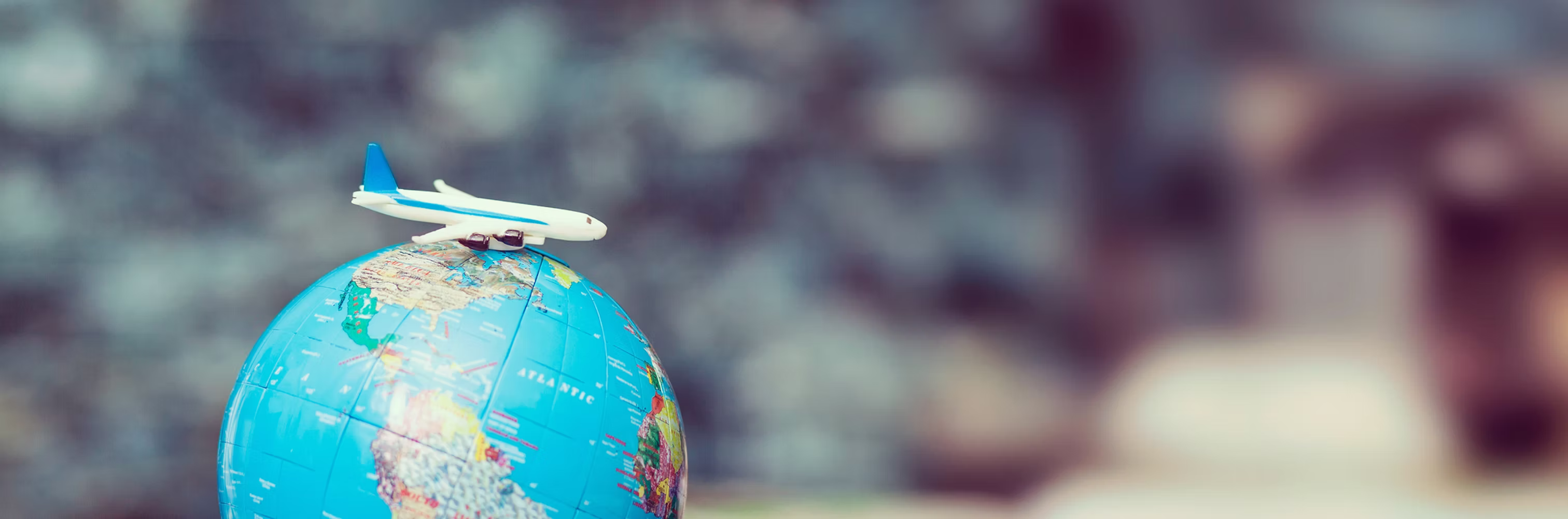 Immigration consultation background